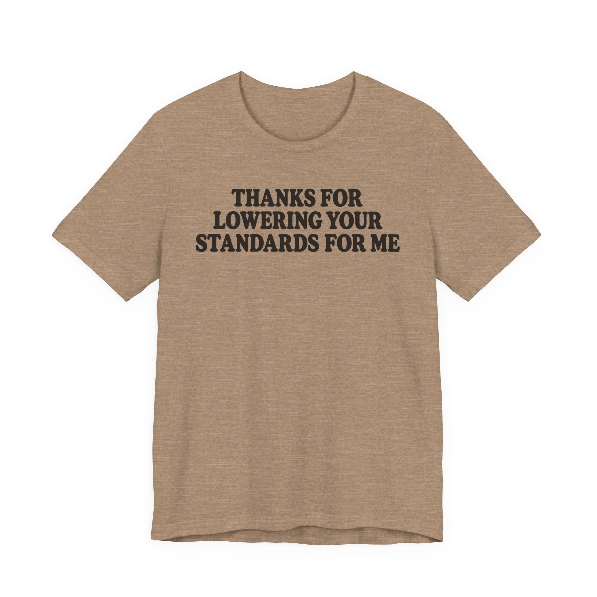 Thanks for Lowering Your Standards for Me - Image 5