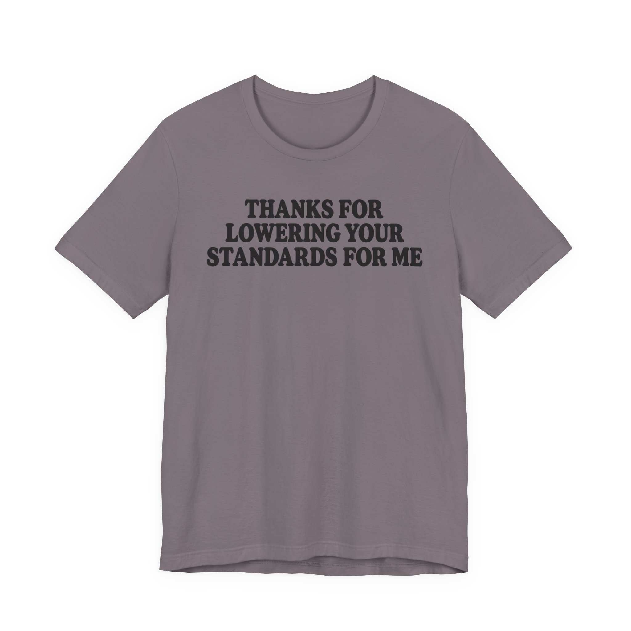Thanks for Lowering Your Standards for Me - Image 13