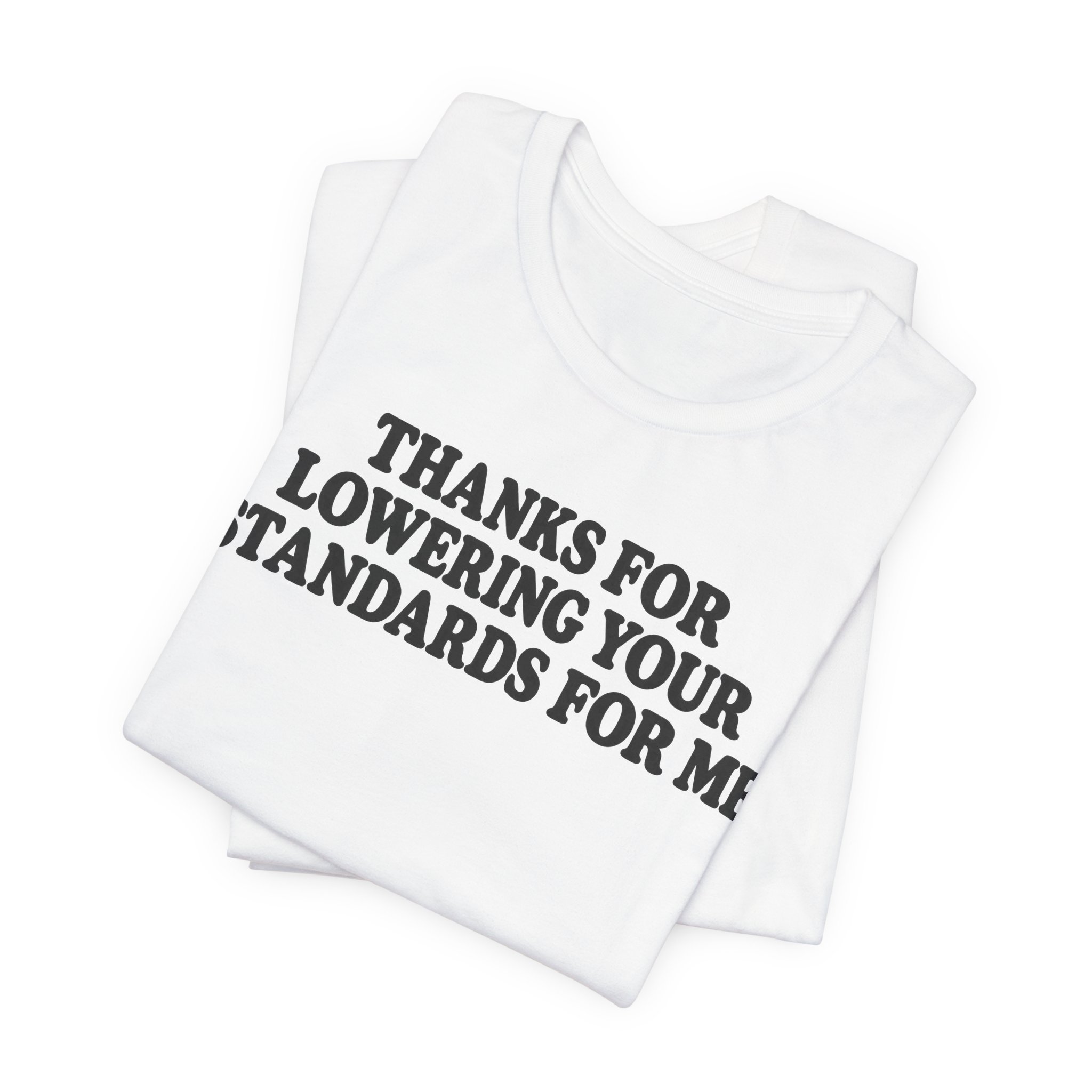 Thanks for Lowering Your Standards for Me - Image 3