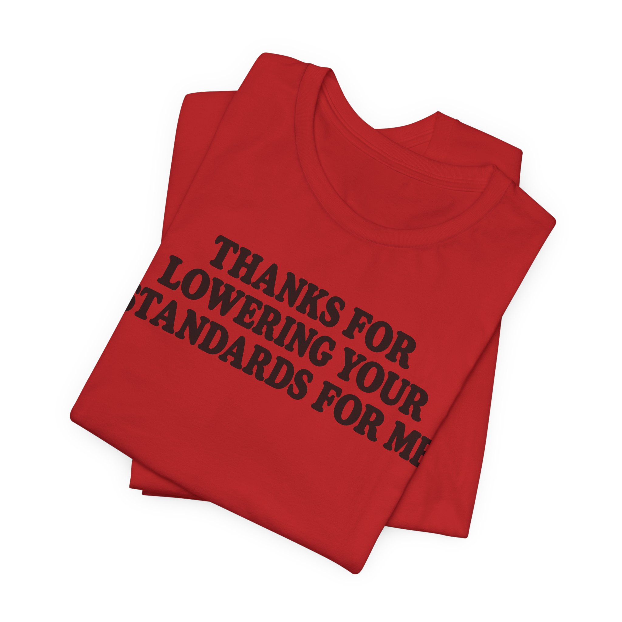 Thanks for Lowering Your Standards for Me - Image 19