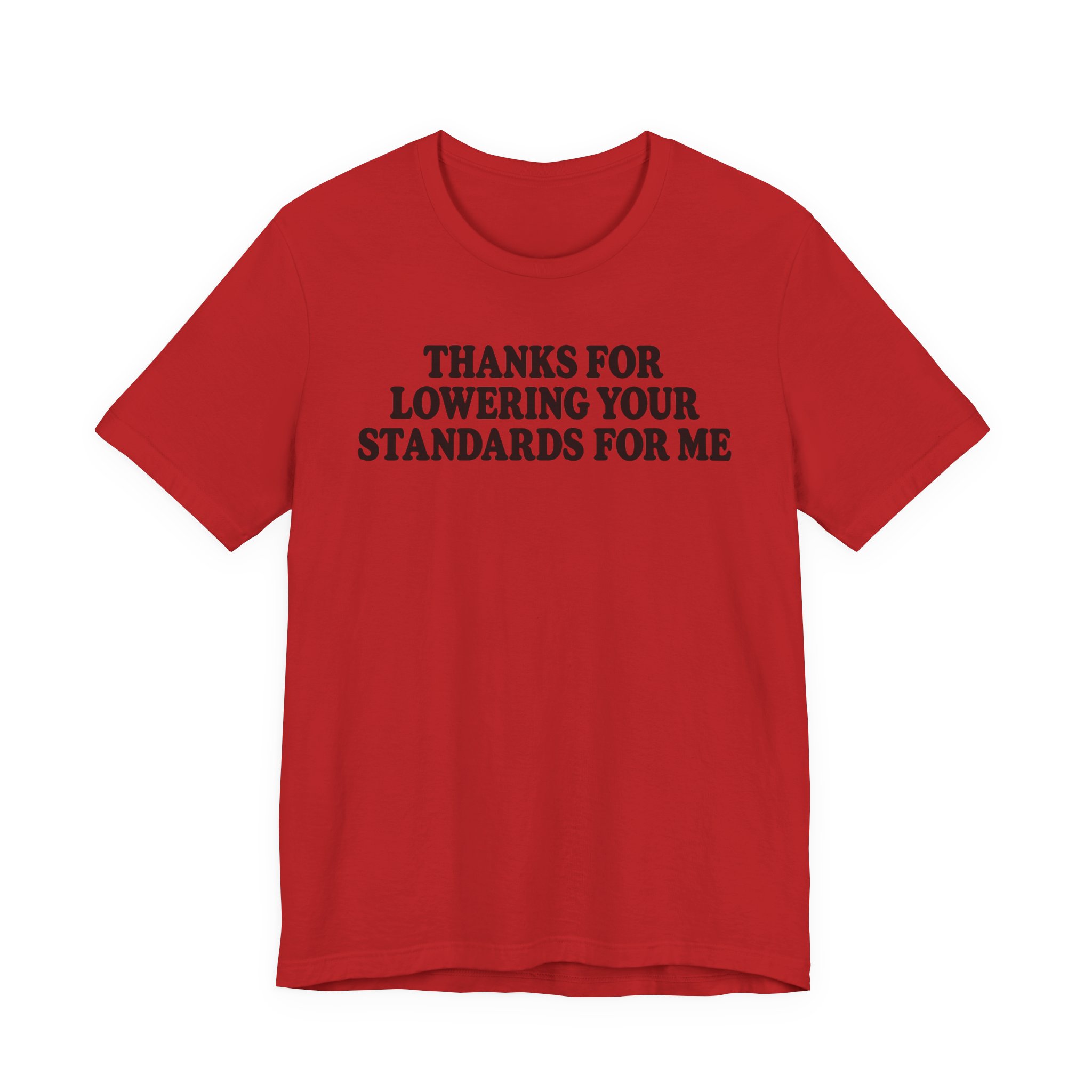 Thanks for Lowering Your Standards for Me - Image 17