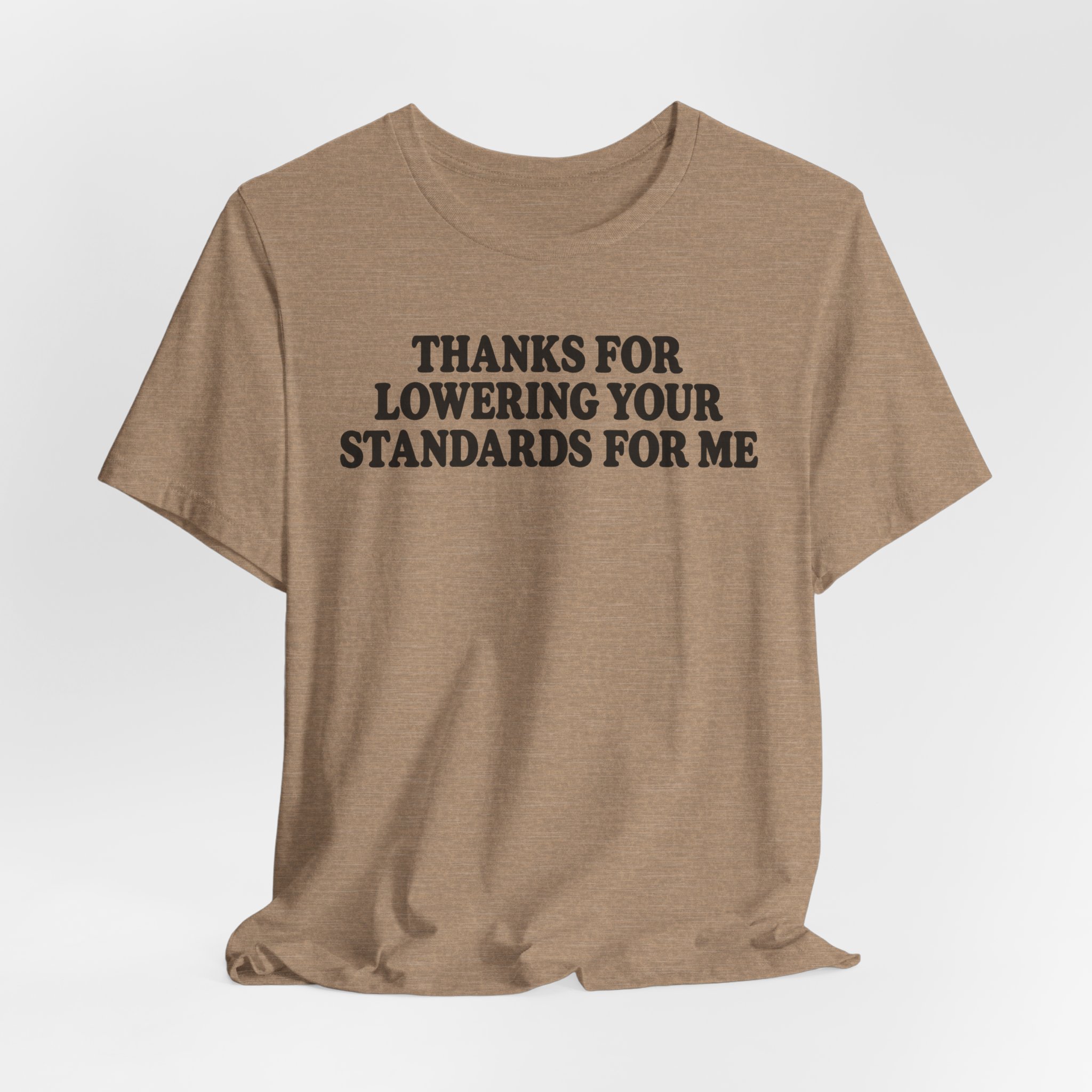 Thanks for Lowering Your Standards for Me - Image 8