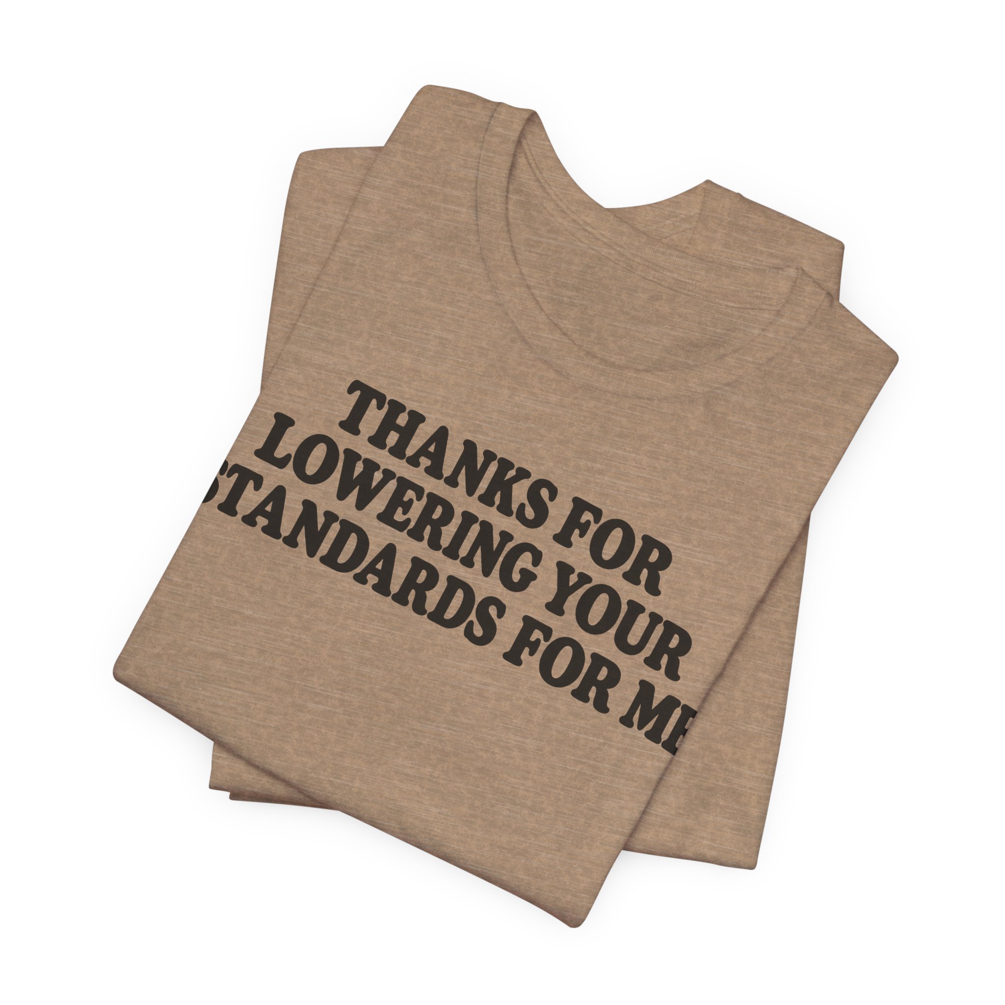 Thanks for Lowering Your Standards for Me - Image 7