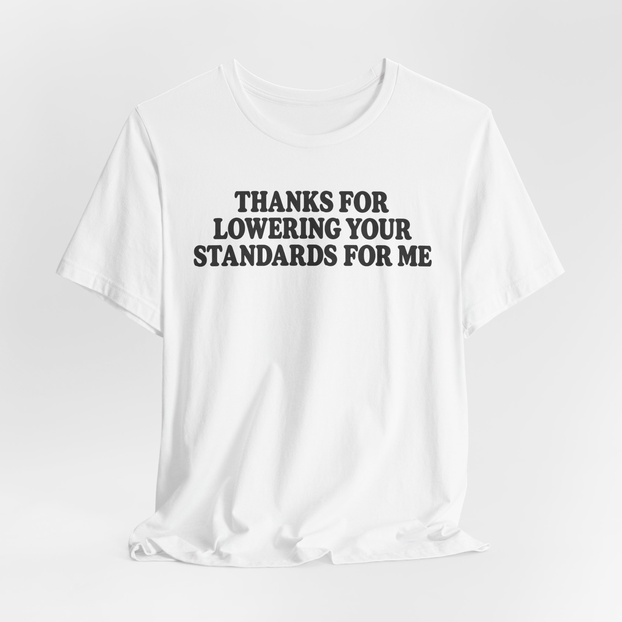 Thanks for Lowering Your Standards for Me - Image 4