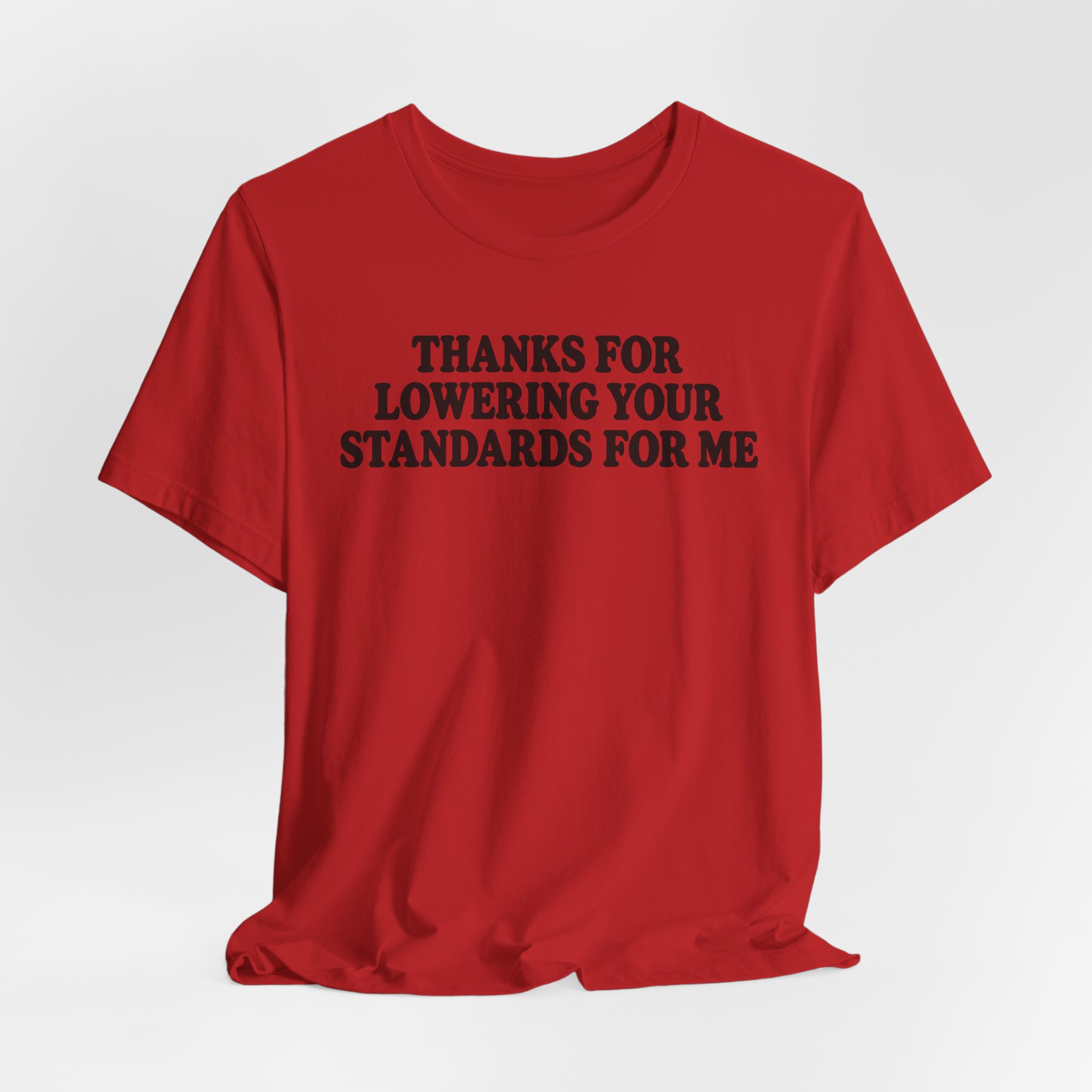 Thanks for Lowering Your Standards for Me - Image 20