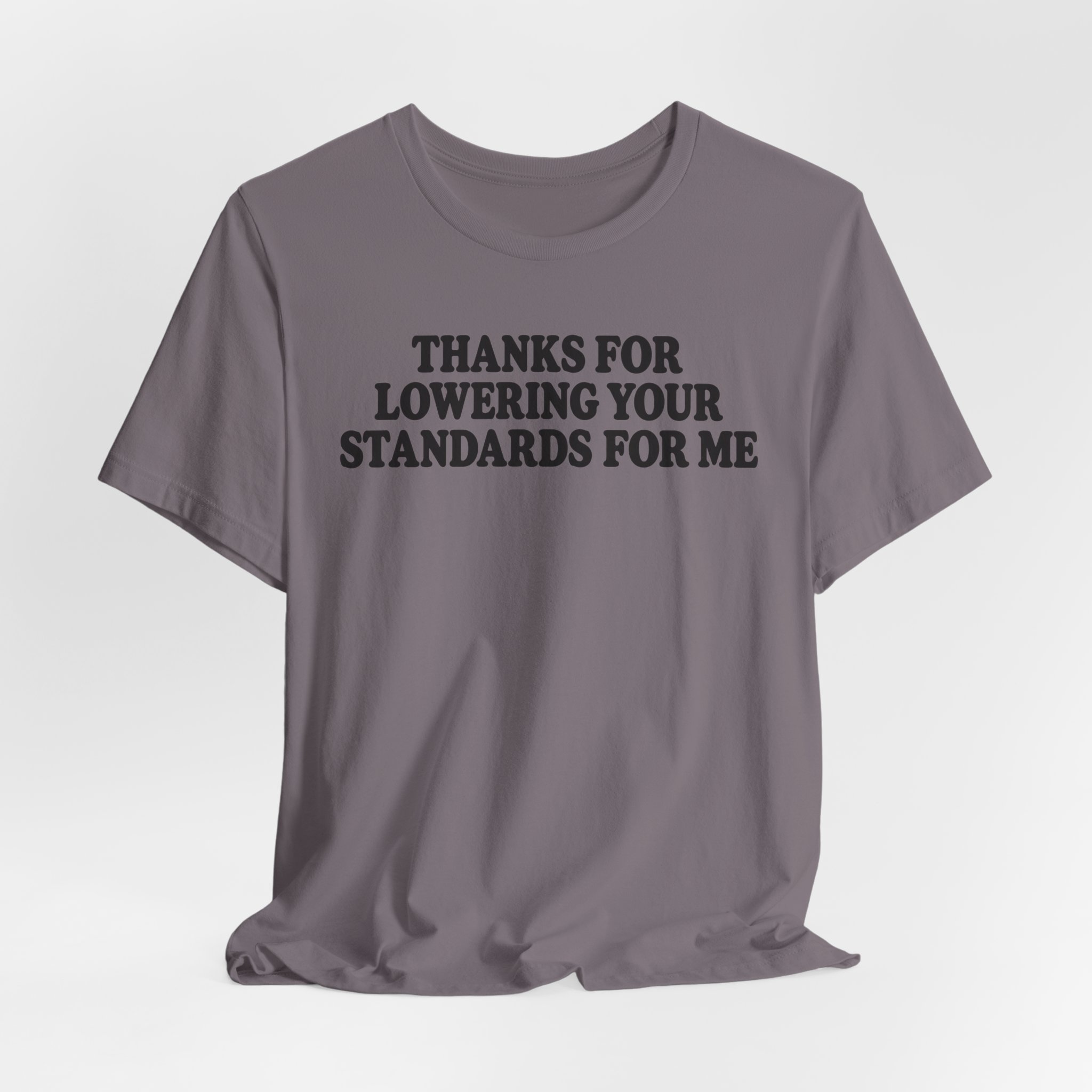 Thanks for Lowering Your Standards for Me - Image 16